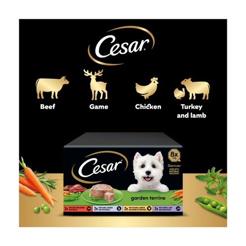 Cesar Garden Terrine Wet Dog Food Tray Mixed in Loaf 8 x 150g thumbnail 4