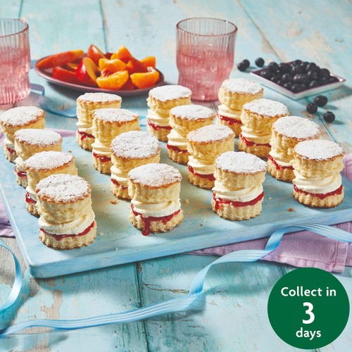 Raspberry Mini Sponge Sharing Platter (16 Pieces)   FTO