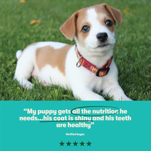 Harringtons Dry Puppy Food Rich in Turkey & Rice  thumbnail 5