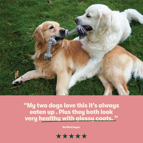 Harringtons Dry Adult Dog Food Rich in Salmon & Potato thumbnail 5