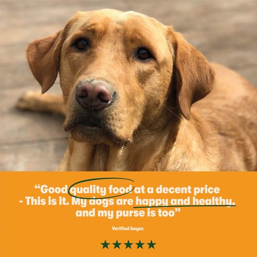 Harringtons Dry Adult Dog Food Rich in Turkey & Veg thumbnail 4
