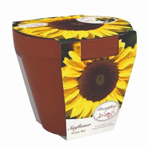 Beautifleur Sunflower Large Terracotta Grow Kit