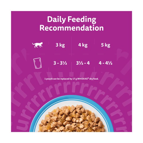 Whiskas Senior 11+ Fish Favourites Wet Cat Food Pouches in Jelly 12 x 85g thumbnail 4
