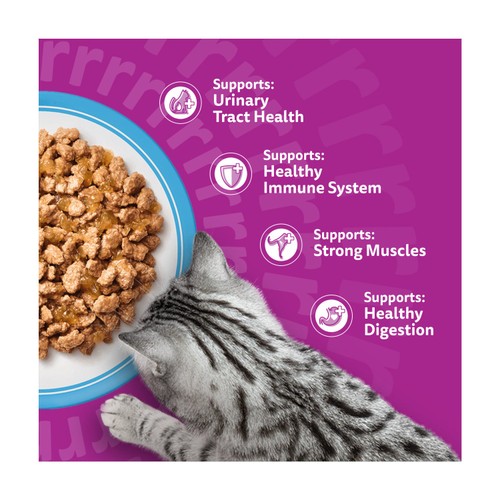 Whiskas Senior 11+ Fish Favourites Wet Cat Food Pouches in Jelly 12 x 85g thumbnail 5