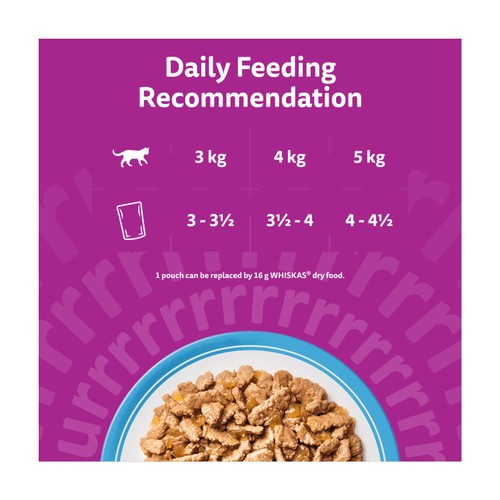 Whiskas Senior 7+ Fish Favourites Wet Cat Food Pouches in Jelly 12 x 85g thumbnail 4