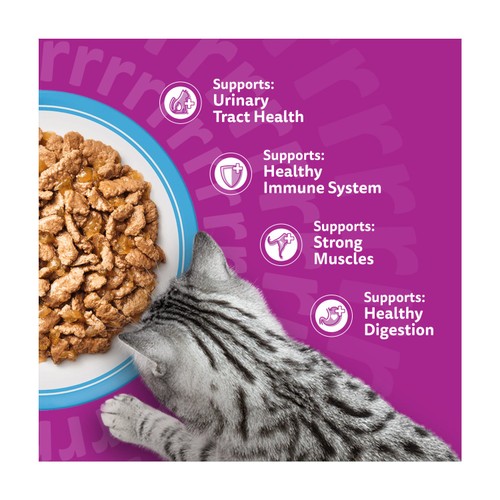 Whiskas Senior 7+ Fish Favourites Wet Cat Food Pouches in Jelly 12 x 85g thumbnail 5