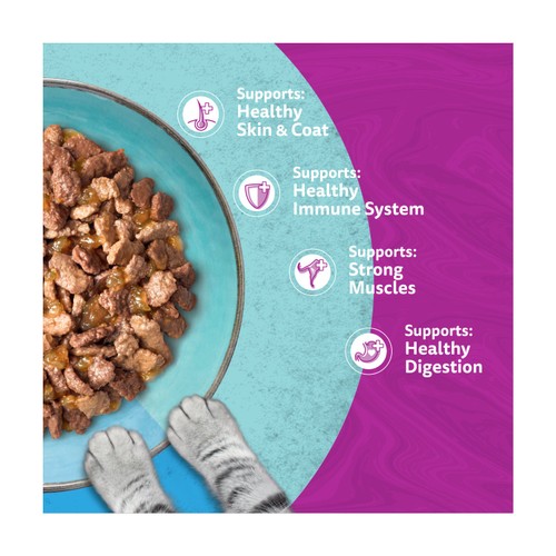 Whiskas 1+ Duo Ocean Delights Adult Wet Cat Food Pouches in Jelly thumbnail 5