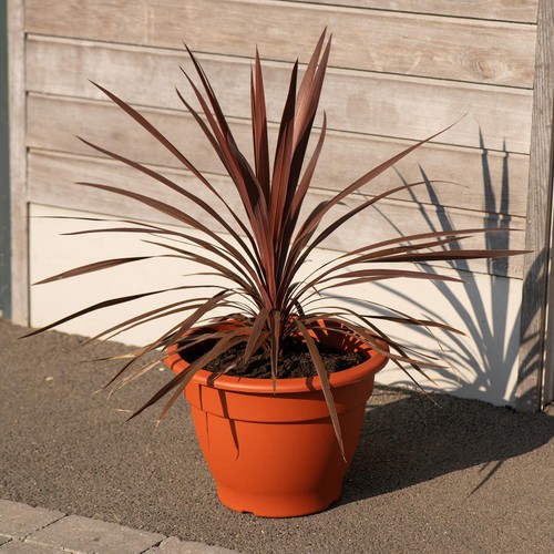 Strata Bell Pot Black 30cm thumbnail 2