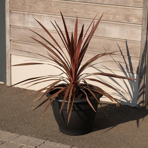 Strata Bell Pot Terracotta 30cm thumbnail 2