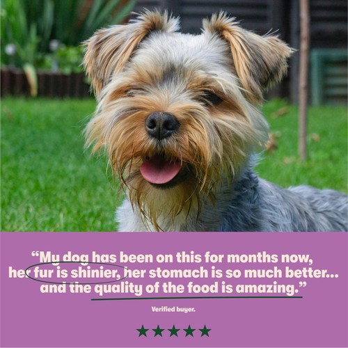 Harringtons Adult Dog Complete Meaty thumbnail 6
