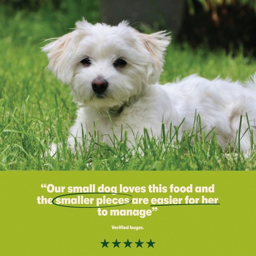 Harringtons Small Dog Turkey thumbnail 5