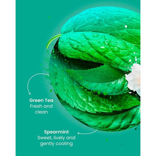 Good Earth Green Tea Moroccan Mint 15 TeaBags thumbnail 6