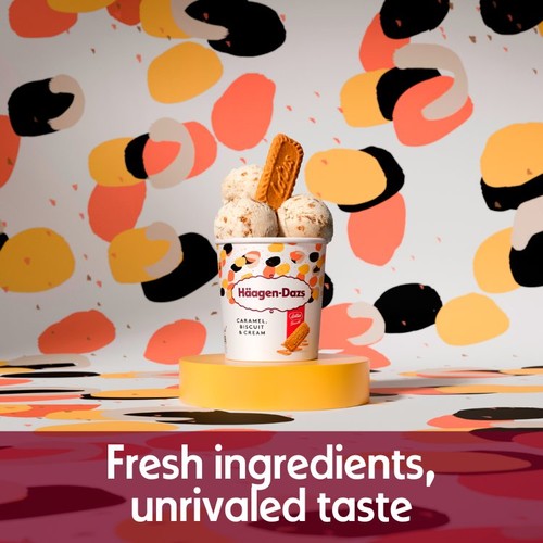 Haagen-Dazs Caramel, Biscuit & Cream Ice Cream thumbnail 3
