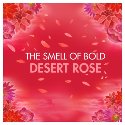 Bold All-In-1 Pods Washing Liquid Capsules Desert Rose 25 Washes thumbnail 5