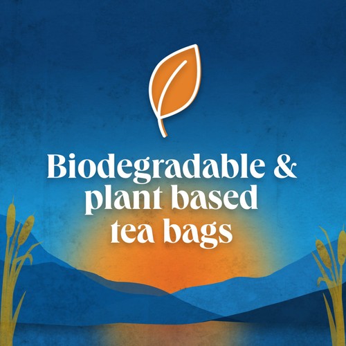 Scottish Blend Original 80 Tea Bags thumbnail 2