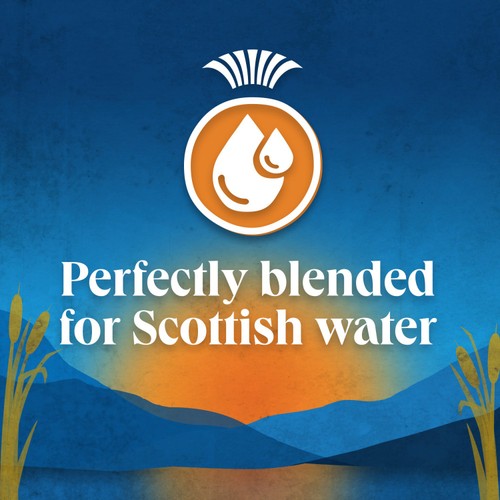 Scottish Blend Original 80 Tea Bags thumbnail 3