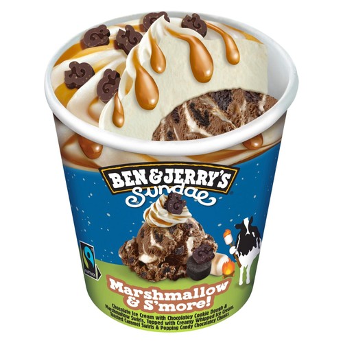Ben & Jerry's Sundae Marshmallow & S'more! Chocolate Ice Cream Tub   427ml thumbnail 2