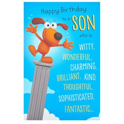 Humour Funny Son Birthday Card