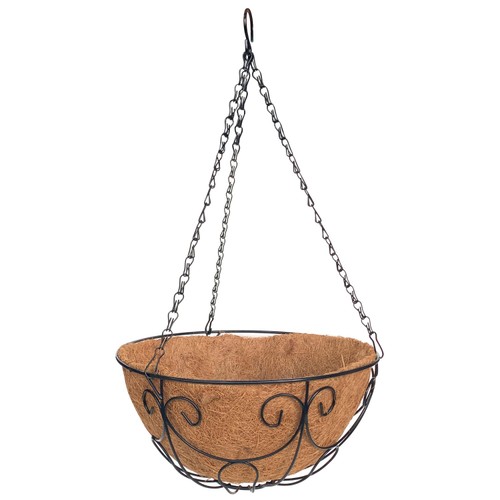Nutmeg Hanging Basket