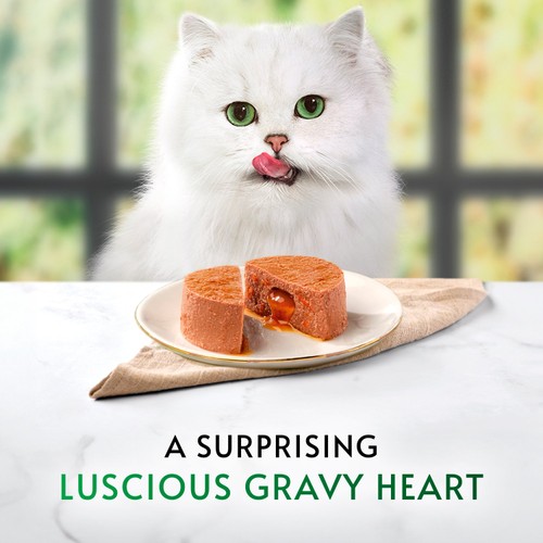 Gourmet Nature's Creations Gravy Heart Chicken Ocean Fish Wet Cat Food thumbnail 2