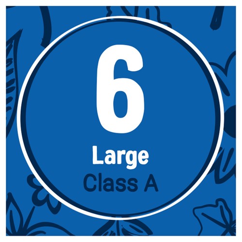 St Ewe 6 Large Eggs thumbnail 4