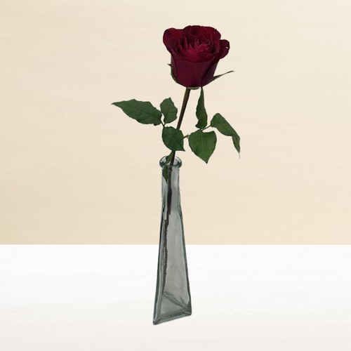 Morrisons Single Romantic Rose