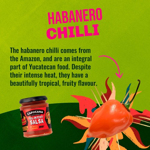 Capsicana Mexican Chipotle & Habanero Hot Salsa 285g thumbnail 3