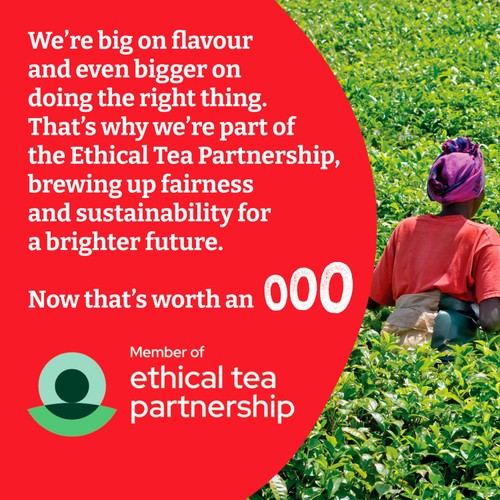 Typhoo Tea 80 Tea Bags  thumbnail 5