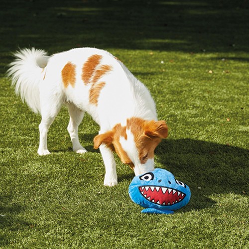 JML Chuckle Chums Shark Pet Toy thumbnail 3
