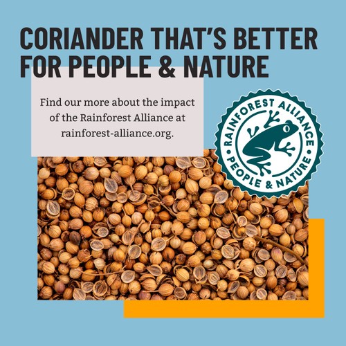 Bart Coriander Seeds   20g thumbnail 3