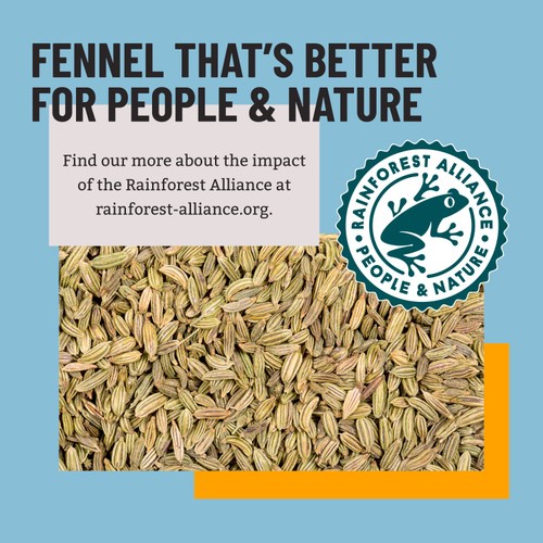 Bart Fennel Seeds   30g thumbnail 3