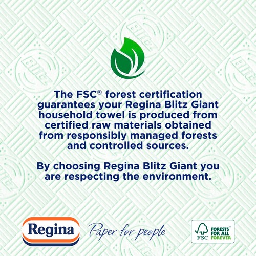 Regina Blitz Giant Household Towel thumbnail 5