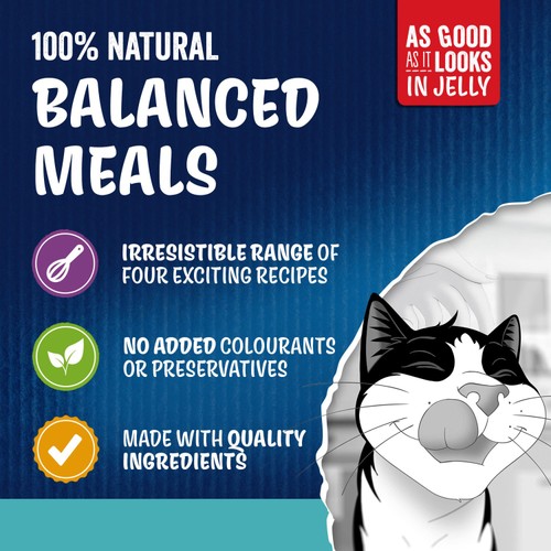 FELIX As Good As it Looks Ocean Feasts in Jelly Wet Cat Food 40x85g thumbnail 3