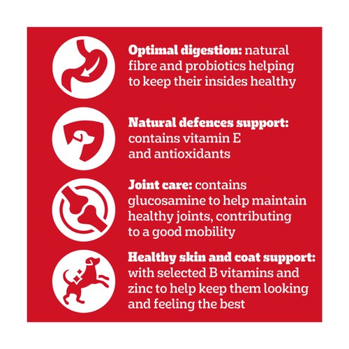 Pedigree Vitality Plus Adult Dog Mixed Selection In Gravy 12 x 85g thumbnail 4