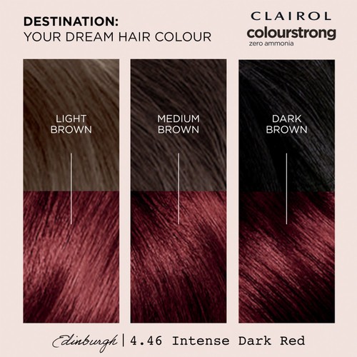 Clairol Colour Strong Permanent Hair Dye 4.46 Intense Dark Red thumbnail 5