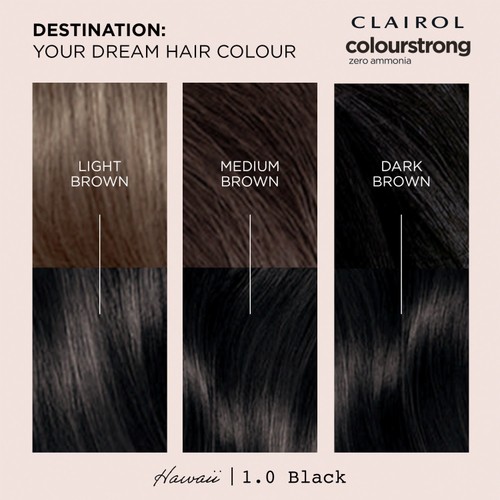 Clairol Colour Strong Permanent Hair Dye 1.0 Black thumbnail 5