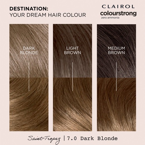 Clairol Colour Strong Permanent Hair Dye 7.0 Dark Blonde thumbnail 2