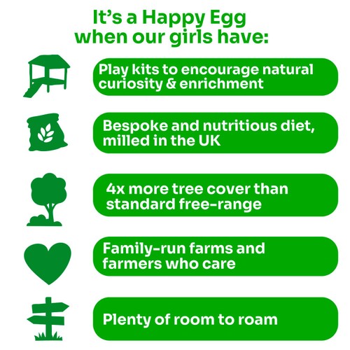 Happy Egg Company 10 Large Free Range Eggs thumbnail 4