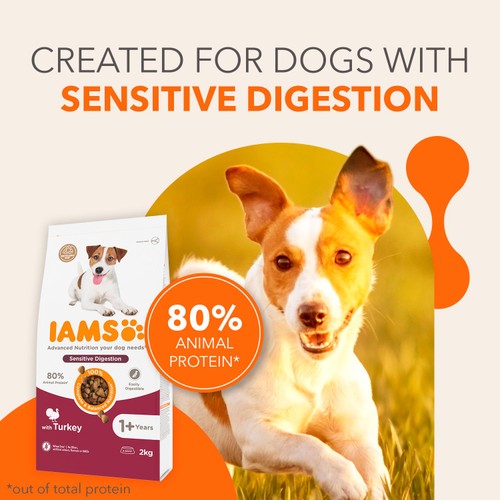 Iams Sensitive Digestion with Turkey 1+ Years 2kg thumbnail 3