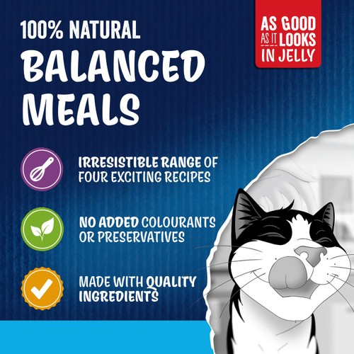 FELIX As Good As It Looks Senior 7+ Fish Selection In Jelly 40x85g thumbnail 2