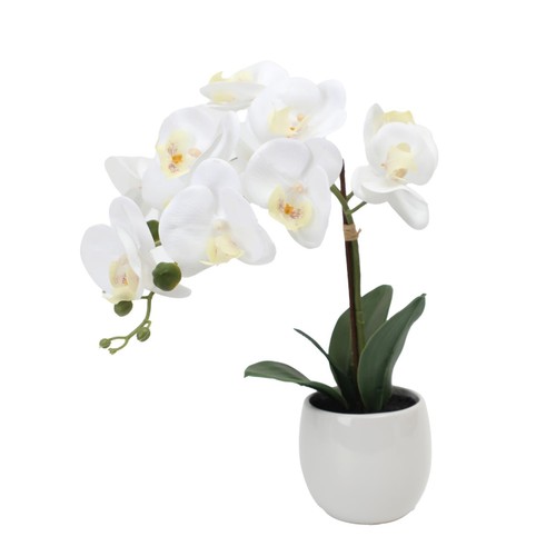 Nutmeg Home Orchid Faux Floral