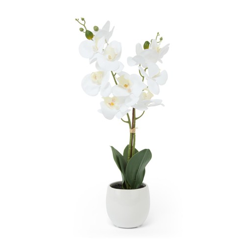 Nutmeg Home Orchid Faux Floral thumbnail 2