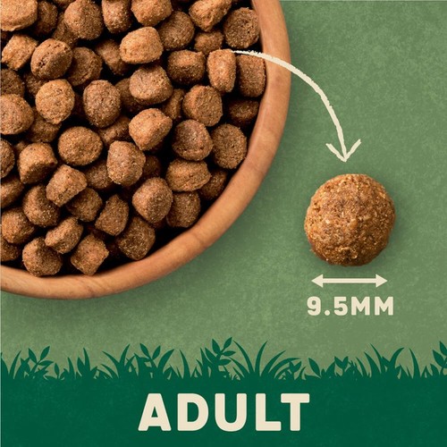 Harringtons Rich in Lamb & Rice Small Adult Dog Food 1kg thumbnail 2
