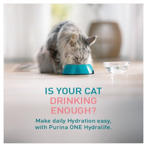 PURINA ONE HYDRALIFE with Salmon Liquid Cat Supplement 6x50g thumbnail 4