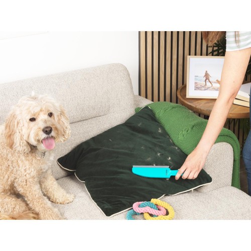 Beldray Antibac Pet Plus Upholstory Brush thumbnail 2