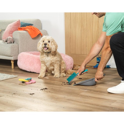 Beldray Pet Plus Rubber Head Dustpan & Brush thumbnail 5