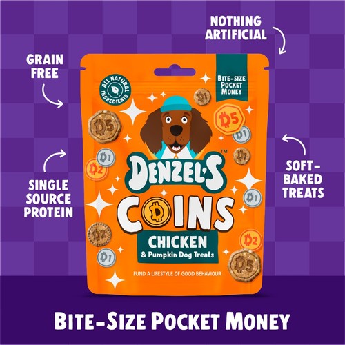 Denzel's Coins Chicken & Pumpkin Dog Treats 90g thumbnail 3