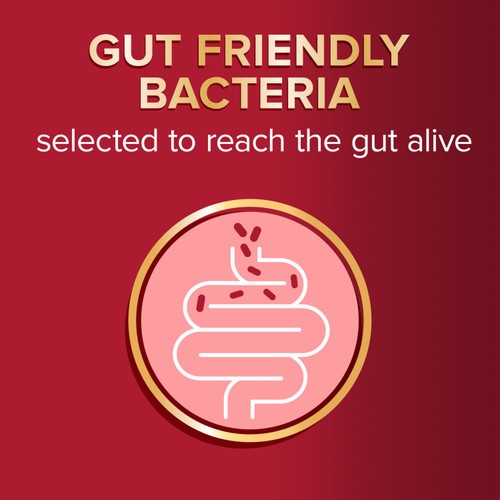 Seven Seas Omega Gut Friendly Bacteria 30ct thumbnail 3