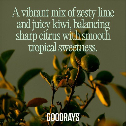 Goodrays ReFocus Zesty Lime & Kiwi 4 x 330ml thumbnail 4