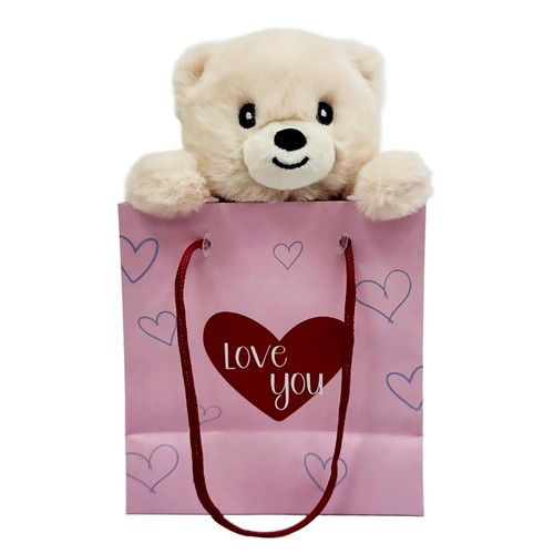 Morrisons Valentine's Bear In Giftbag